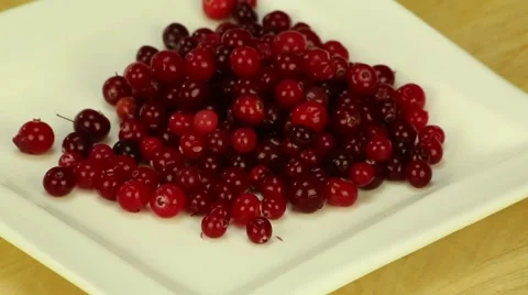 Cranberries on a white square plate Stock Footage 43134292