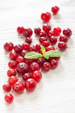 Cranberries on white table Stock Photos