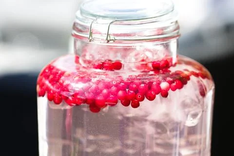 Cranberriy drinking water Stock Photos