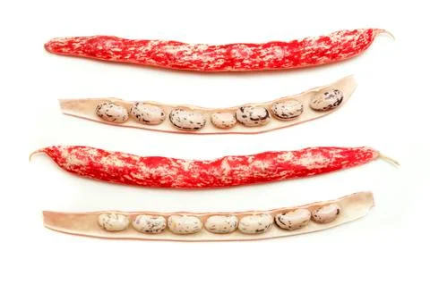 Cranberry beans Stock Photos