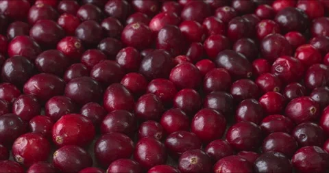 Cranberry berries background texture. Video stock 321064317
