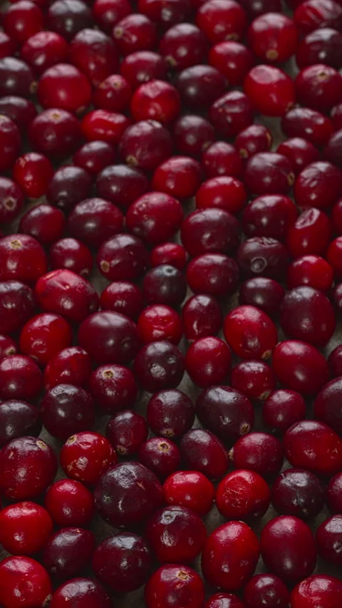 Cranberry berries background texture. Vertical video. Stock Footage 321064513