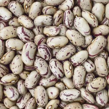 Cranberry, borlotti or shell beans texture background or pattern. raw food. Stock Photos