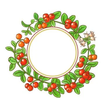 Cranberry branch vector frame Stock Illustration