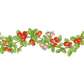Cranberry branch vector pattern Stock Illustration