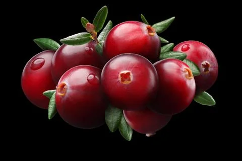 Cranberry composition, clipping paths Фото