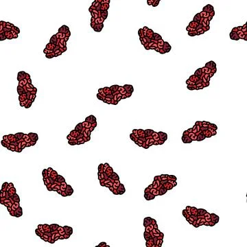 Cranberry dried fruit vector seamless pattern Stock Illustration
