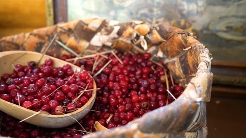 Cranberry Stock Footage 108179640