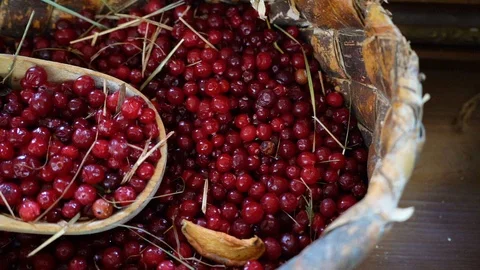 Cranberry Stock Footage 108179655