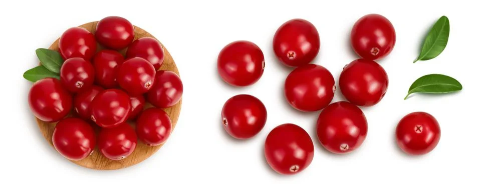 Cranberry with leaves isolated on white background with clipping path and full Stock Photos