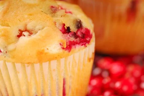 Cranberry muffin Stock Photos
