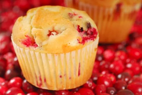 Cranberry muffin Stock Photos