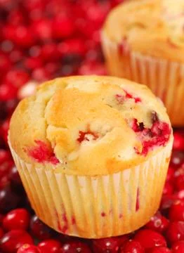 Cranberry muffins Stock Photos