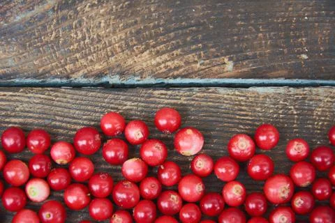 Cranberry or Cowberry on dark rustic wooden background or texture. Top view b Stock Photos