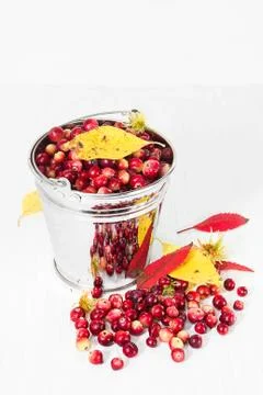 Cranberry Stock Photos