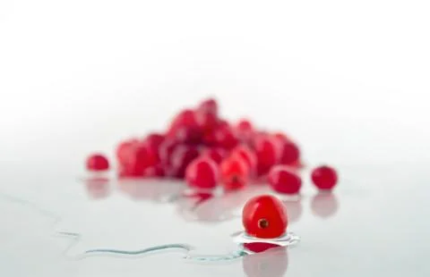 Cranberry Stock Photos