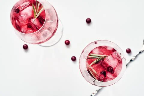 Cranberry rosemary spritzer drink. Stock Photos