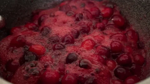 Cranberry Sauce 1 Stock Footage 288165562