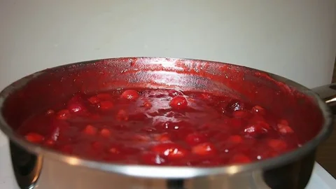 Cranberry Sauce Prearration Stock Footage 82248359