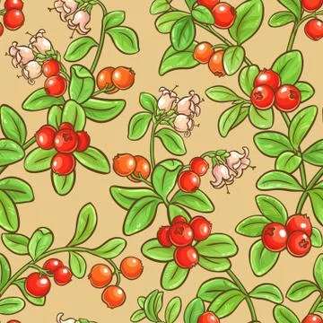 Cranberry seamless pattern Stock Illustration