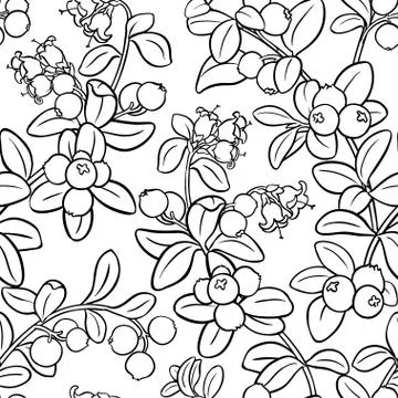 Cranberry seamless pattern Stock Illustration