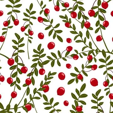 Cranberry seamless pattern. Northern red berries and branches with leaves vector Stock Illustration