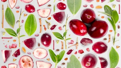 Cranberry Slice and Leaf Collection Stock Footage 215864451