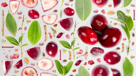 Cranberry Slice and Leaf Collection Stock Footage 218152570