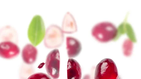 Cranberry Slice and Leaf Collection Video stock 219537004