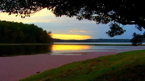 Cranberry Sunset; 1 Stock Footage 8926787