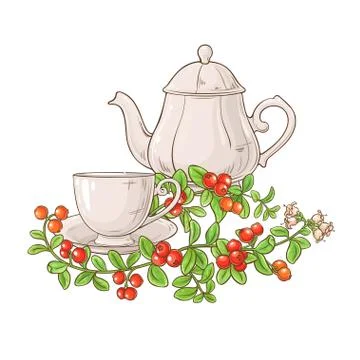 Cranberry tea illustration Stock Illustration