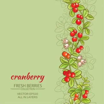 Cranberry vector background Stock Illustration