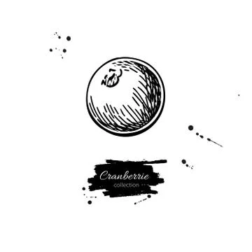 Cranberry vector drawing. Isolated berry heap sketch on white ba Stock Illustration