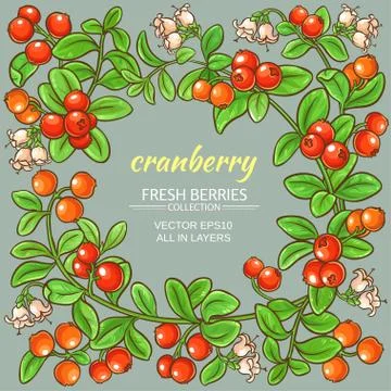 Cranberry vector frame Stock Illustration
