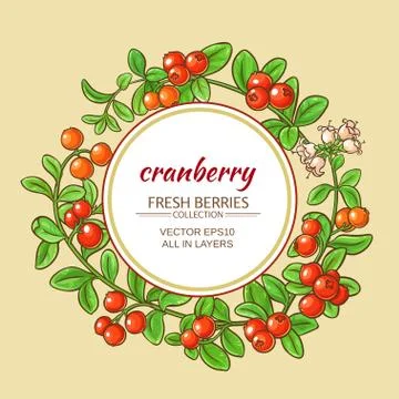 Cranberry vector frame Illustrazione stock