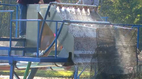 Cranberry washing machine Stock Footage 10138065