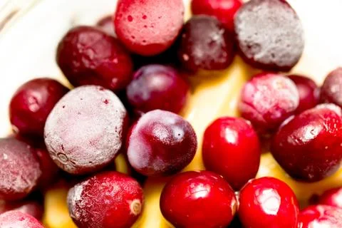 Cranberry2 Foto stock