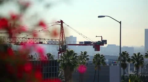 Crane 07 HD Video stock 20447209