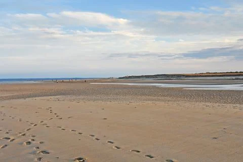 Crane beach panoramic view Stock Photos