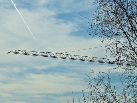 Crane behind trees in front of blue sky Stock Photos