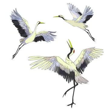 Crane. A bird in flight. Design element. Vector. Stock Illustration