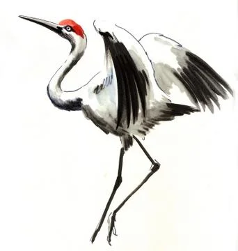 Crane bird Stock-Illustration