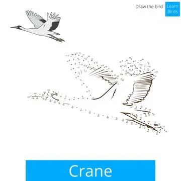 Crane bird learn to draw vector Stock Illustration