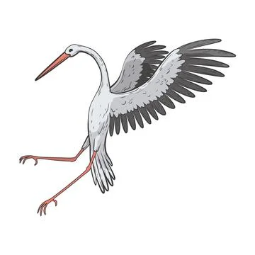 Crane bird in realistic style, high quality detail. Vector illustration Stock Illustration