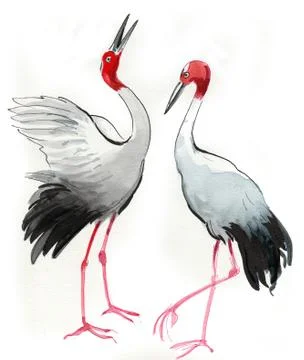Crane birds Stock Illustration