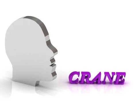 CRANE bright color letters and silver head mind on a white background Stock Illustration