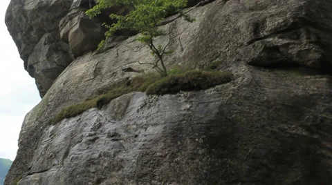 Crane Off Cock Stock Footage 951198