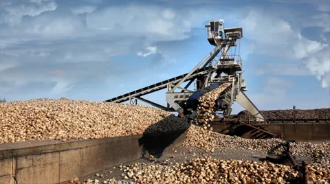 Crane conveyor unloading sugar beet Stock Footage 940358
