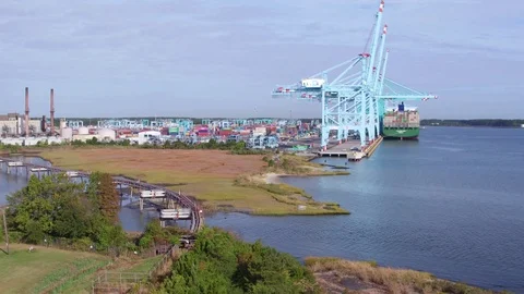 Crane Dance Stock Footage 117431565