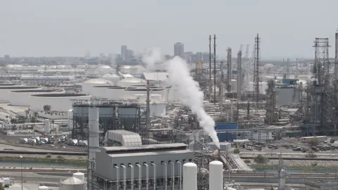 Crane Down with Long beach in the Background Stock Footage 291229928